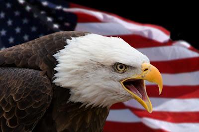 A Patriotic Unicorn Post by Lolly